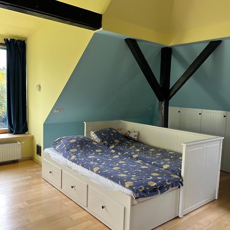 Dom Z Ogrodem Blisko Centrum Poznań Eksteriør billede